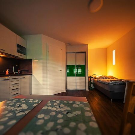 Gottwaldhaus-Freiberg-Apartment / A 外观 照片